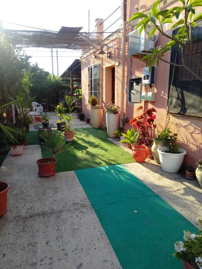 B B Casa Vacanze Il Pino Di Pino Lascari Exterior foto